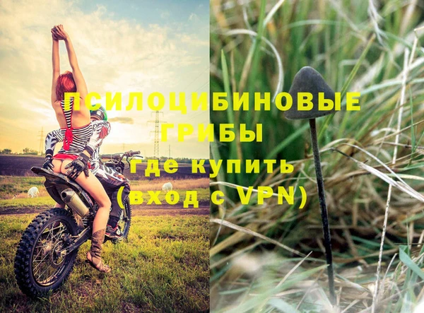 apvp Кулебаки