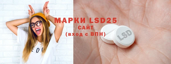 СК Вязьма