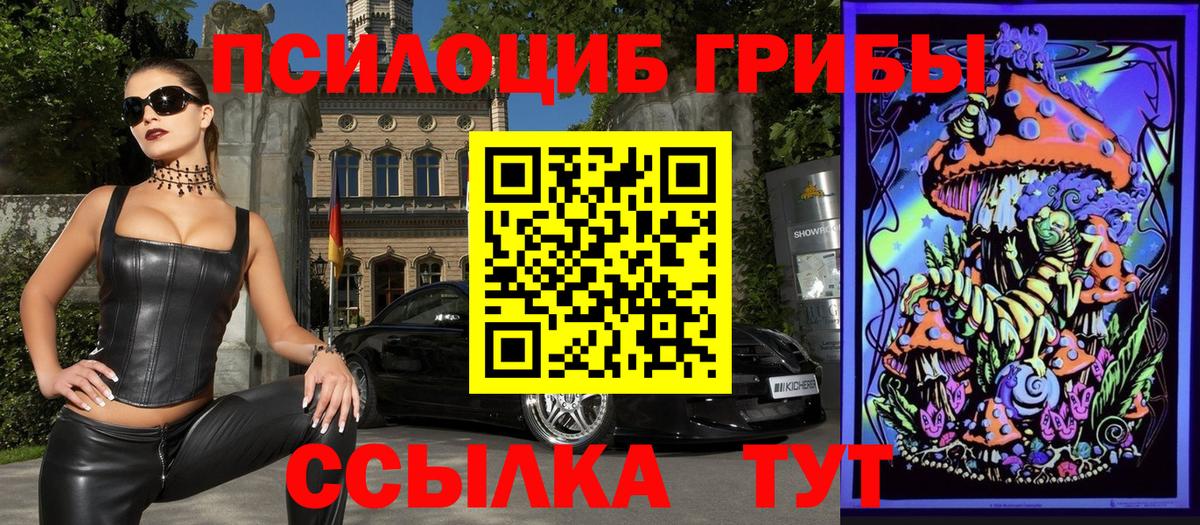 Галлюциногенные грибы прущие грибы Назарово