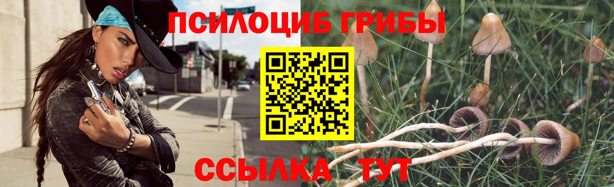 Галлюциногенные грибы Psilocybine cubensis  Вход с VPN  Назарово 